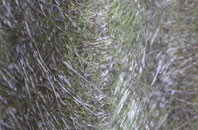 Upton Field fibreglass roof work